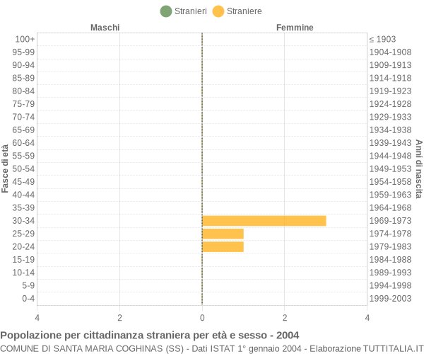 Grafico cittadini stranieri - Santa Maria Coghinas 2004