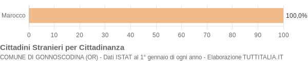 Grafico cittadinanza stranieri - Gonnoscodina 2004