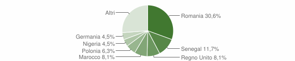 Grafico cittadinanza stranieri - Olmedo 2013