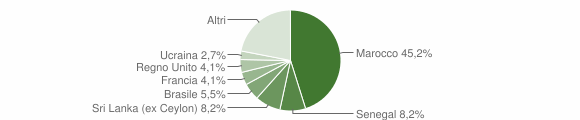 Grafico cittadinanza stranieri - Ussana 2010