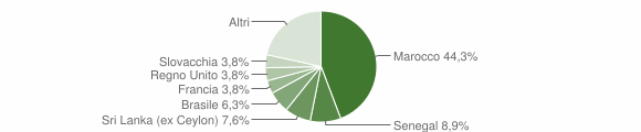 Grafico cittadinanza stranieri - Ussana 2011