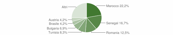 Grafico cittadinanza stranieri - Ussana 2015