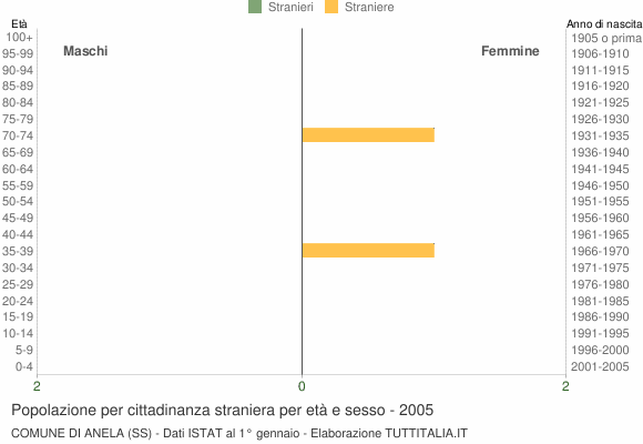Grafico cittadini stranieri - Anela 2005