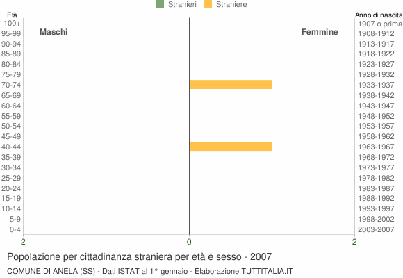 Grafico cittadini stranieri - Anela 2007
