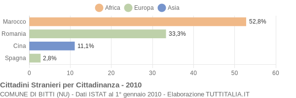 Grafico cittadinanza stranieri - Bitti 2010