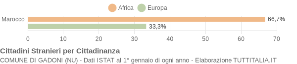 Grafico cittadinanza stranieri - Gadoni 2007