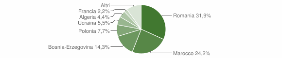 Grafico cittadinanza stranieri - Monti 2015