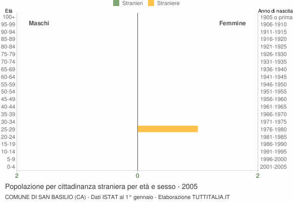 Grafico cittadini stranieri - San Basilio 2005