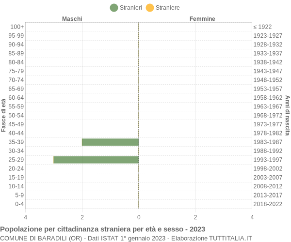 Grafico cittadini stranieri - Baradili 2023