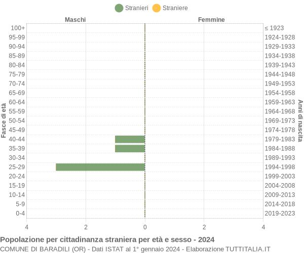 Grafico cittadini stranieri - Baradili 2024