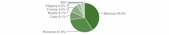 Grafico cittadinanza stranieri - Loceri 2010