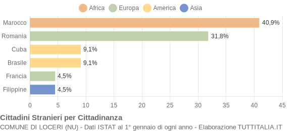 Grafico cittadinanza stranieri - Loceri 2010