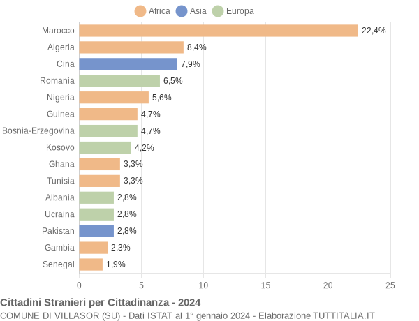 Grafico cittadinanza stranieri - Villasor 2024