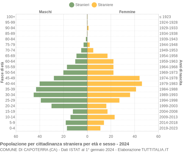 Grafico cittadini stranieri - Capoterra 2024