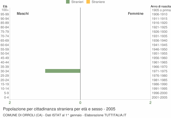 Grafico cittadini stranieri - Orroli 2005