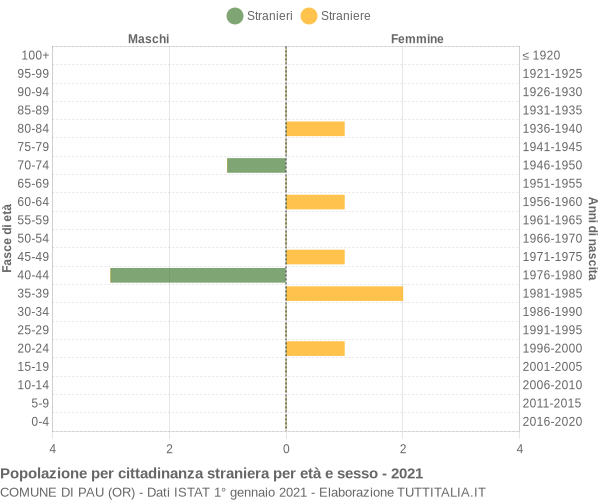 Grafico cittadini stranieri - Pau 2021