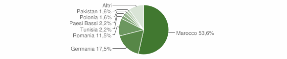 Grafico cittadinanza stranieri - Posada 2010