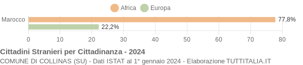 Grafico cittadinanza stranieri - Collinas 2024