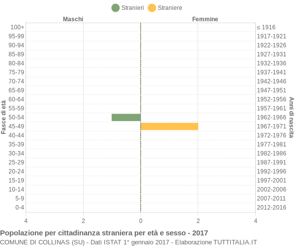 Grafico cittadini stranieri - Collinas 2017