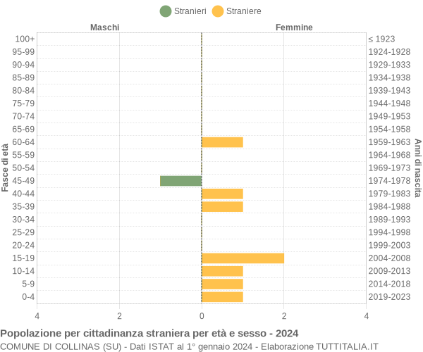 Grafico cittadini stranieri - Collinas 2024