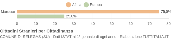 Grafico cittadinanza stranieri - Selegas 2005