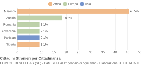 Grafico cittadinanza stranieri - Selegas 2013