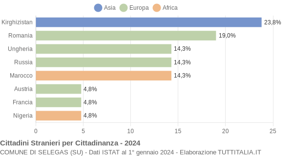 Grafico cittadinanza stranieri - Selegas 2024