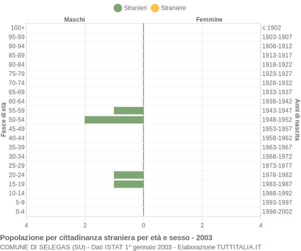 Grafico cittadini stranieri - Selegas 2003