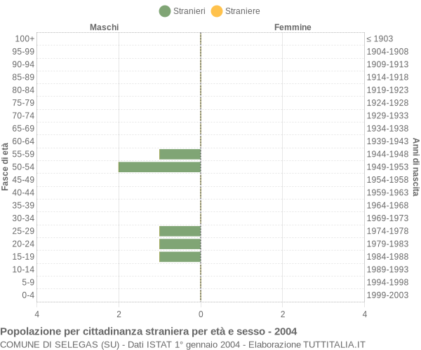 Grafico cittadini stranieri - Selegas 2004