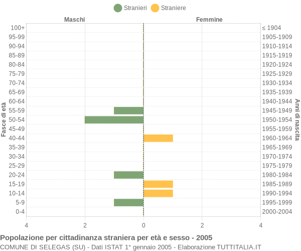 Grafico cittadini stranieri - Selegas 2005