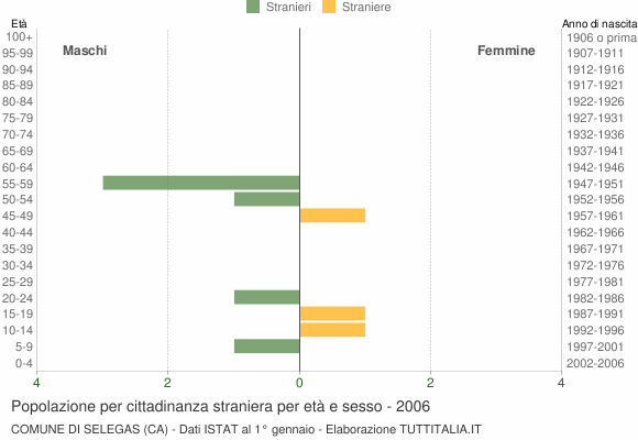 Grafico cittadini stranieri - Selegas 2006