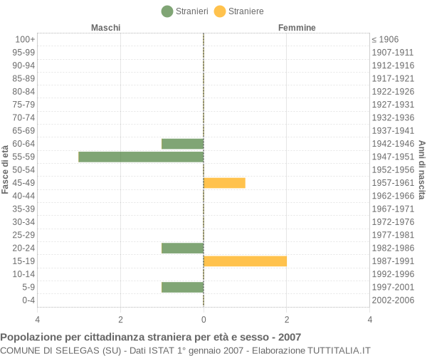 Grafico cittadini stranieri - Selegas 2007