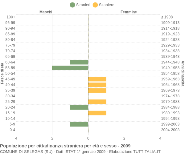 Grafico cittadini stranieri - Selegas 2009