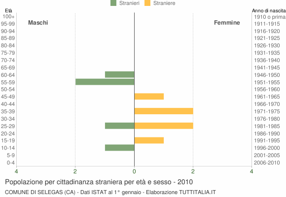 Grafico cittadini stranieri - Selegas 2010
