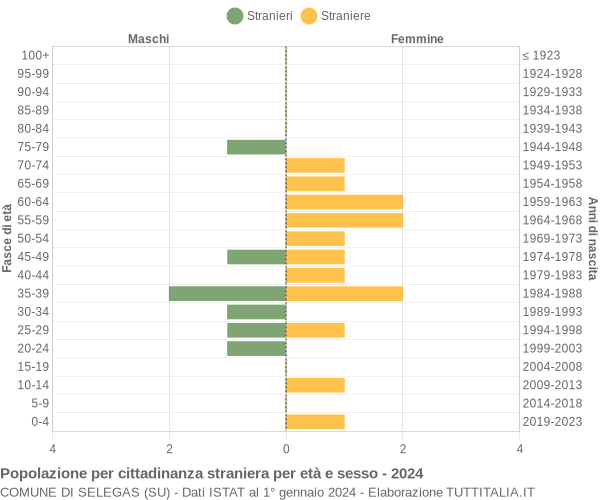 Grafico cittadini stranieri - Selegas 2024