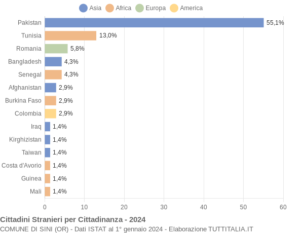 Grafico cittadinanza stranieri - Sini 2024