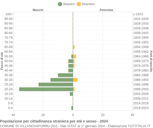 Grafico cittadini stranieri - Villanovaforru 2024