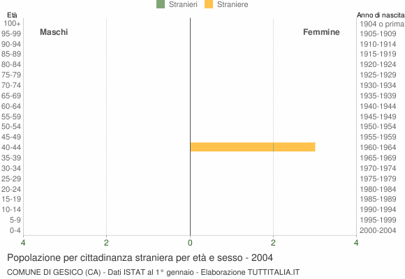 Grafico cittadini stranieri - Gesico 2004