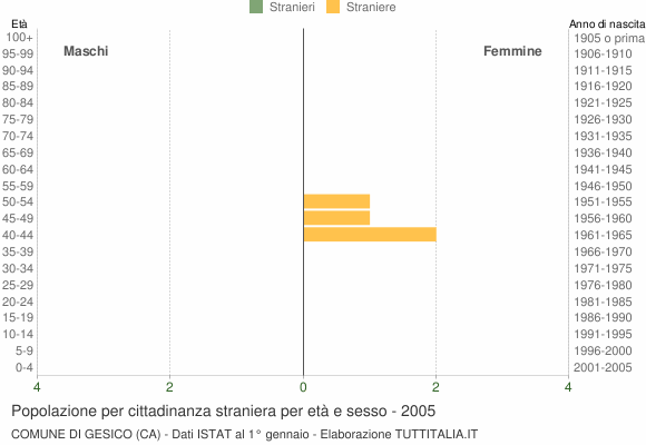 Grafico cittadini stranieri - Gesico 2005