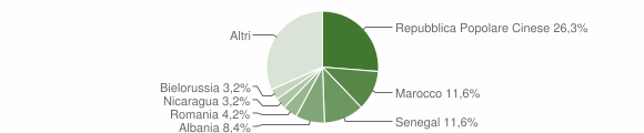 Grafico cittadinanza stranieri - Iglesias 2005