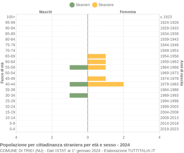 Grafico cittadini stranieri - Triei 2024