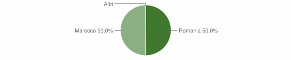 Grafico cittadinanza stranieri - Villa Verde 2020
