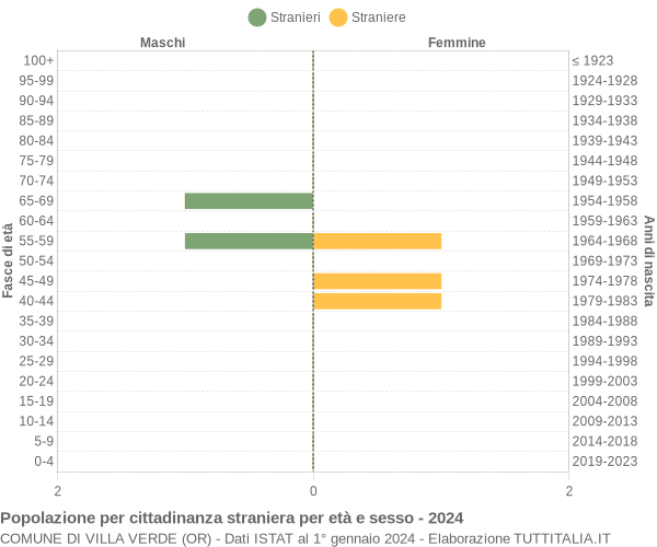 Grafico cittadini stranieri - Villa Verde 2024