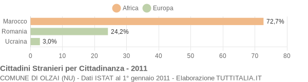 Grafico cittadinanza stranieri - Olzai 2011