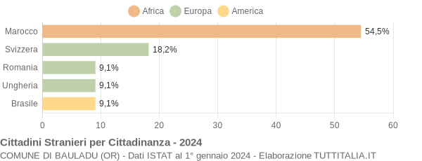 Grafico cittadinanza stranieri - Bauladu 2024