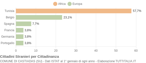 Grafico cittadinanza stranieri - Castiadas 2006