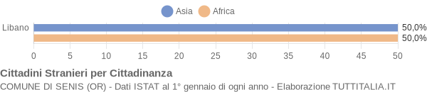 Grafico cittadinanza stranieri - Senis 2004