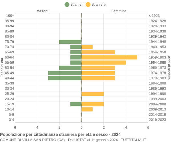 Grafico cittadini stranieri - Villa San Pietro 2024