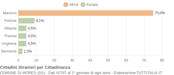 Grafico cittadinanza stranieri - Mores 2006