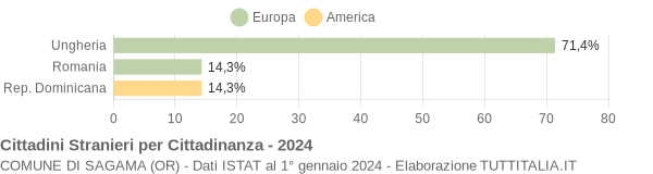 Grafico cittadinanza stranieri - Sagama 2024